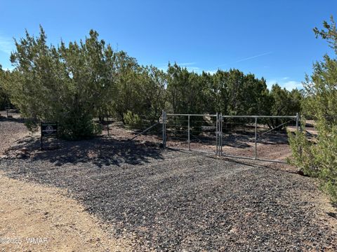 Tiny photo for 60 County Road 8140, Vernon, AZ 85940 (MLS # 256906)