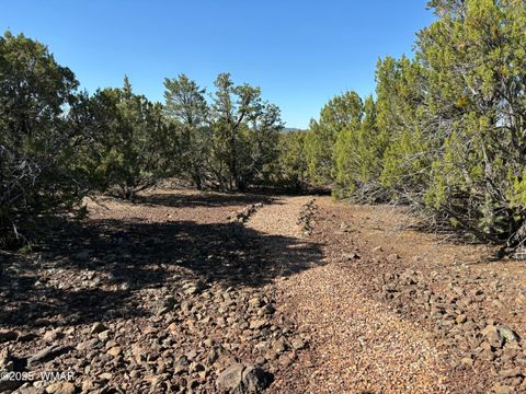 Tiny photo for 60 County Road 8140, Vernon, AZ 85940 (MLS # 256906)