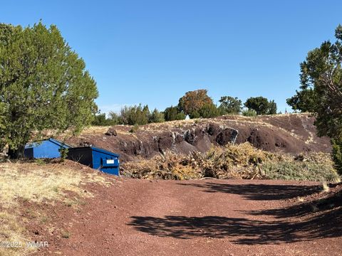Tiny photo for 60 County Road 8140, Vernon, AZ 85940 (MLS # 256906)