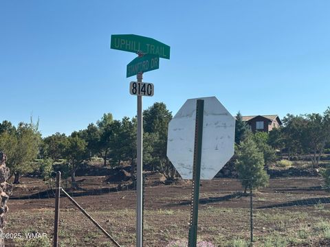 Tiny photo for 60 County Road 8140, Vernon, AZ 85940 (MLS # 256906)