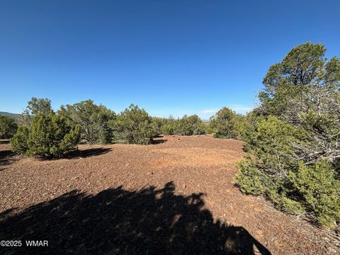 Tiny photo for 60 County Road 8140, Vernon, AZ 85940 (MLS # 256906)