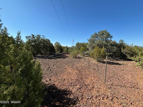 Tiny photo for 60 County Road 8140, Vernon, AZ 85940 (MLS # 256906)