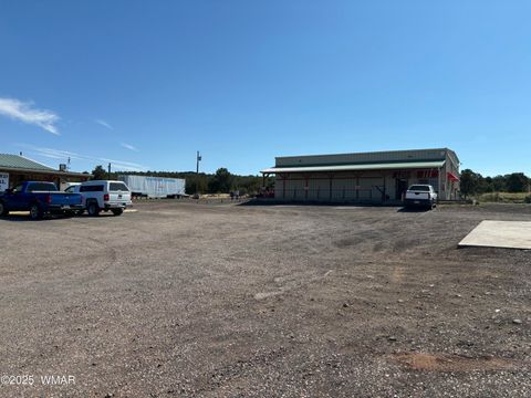 Tiny photo for 60 County Road 8140, Vernon, AZ 85940 (MLS # 256906)