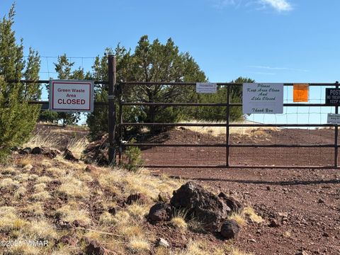 Tiny photo for 60 County Road 8140, Vernon, AZ 85940 (MLS # 256906)