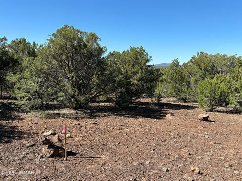 Tiny photo for 60 County Road 8140, Vernon, AZ 85940 (MLS # 256906)