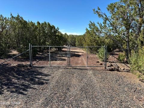 Tiny photo for 60 County Road 8140, Vernon, AZ 85940 (MLS # 256906)