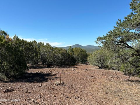 Tiny photo for 60 County Road 8140, Vernon, AZ 85940 (MLS # 256906)
