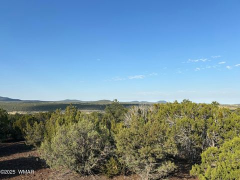 Tiny photo for 60 County Road 8140, Vernon, AZ 85940 (MLS # 256906)
