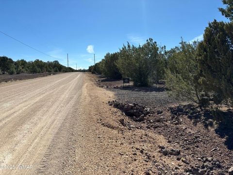 Tiny photo for 60 County Road 8140, Vernon, AZ 85940 (MLS # 256906)