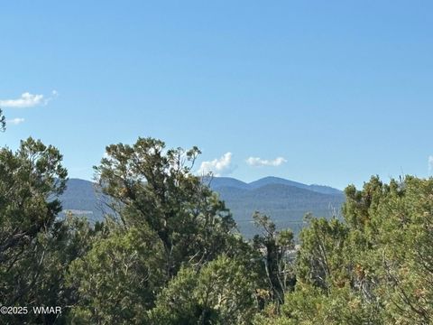 Tiny photo for 60 County Road 8140, Vernon, AZ 85940 (MLS # 256906)