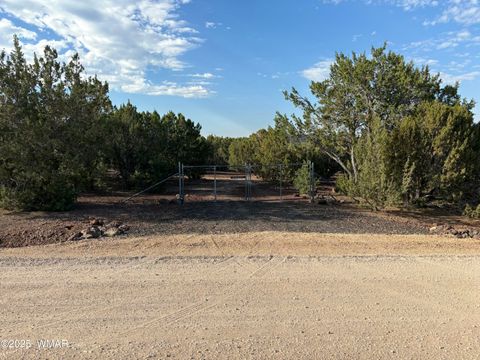 Tiny photo for 60 County Road 8140, Vernon, AZ 85940 (MLS # 256906)