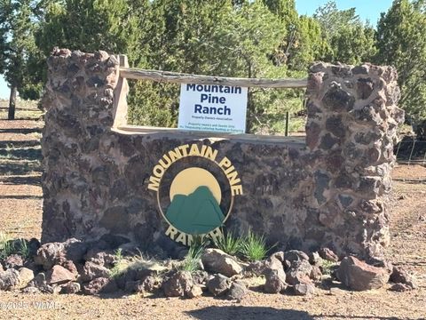 Tiny photo for 60 County Road 8140, Vernon, AZ 85940 (MLS # 256906)