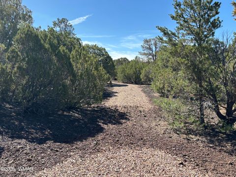 Tiny photo for 60 County Road 8140, Vernon, AZ 85940 (MLS # 256906)