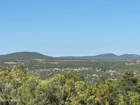 Tiny photo for 60 County Road 8140, Vernon, AZ 85940 (MLS # 256906)