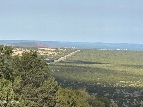 Tiny photo for 60 County Road 8140, Vernon, AZ 85940 (MLS # 256906)