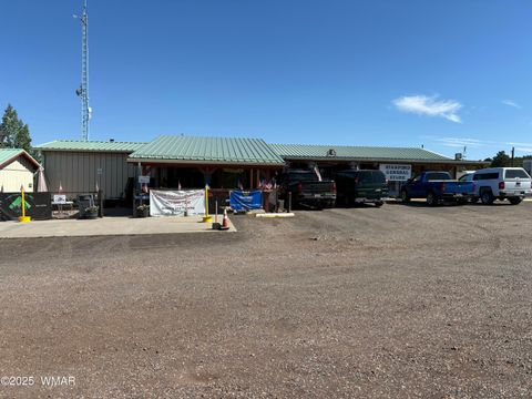 Tiny photo for 60 County Road 8140, Vernon, AZ 85940 (MLS # 256906)