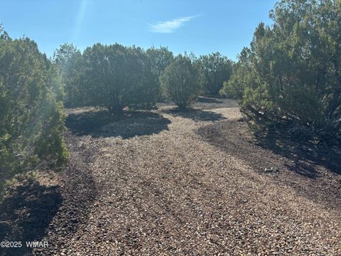 Tiny photo for 60 County Road 8140, Vernon, AZ 85940 (MLS # 256906)