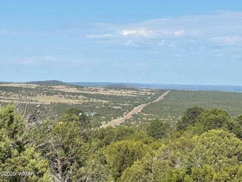 Photo of 60 County Road 8140, Vernon, AZ 85940 (MLS # 256906)
