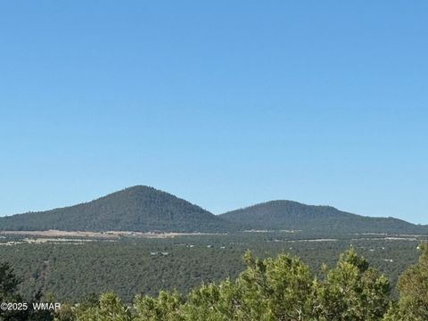 Tiny photo for 60 County Road 8140, Vernon, AZ 85940 (MLS # 256906)