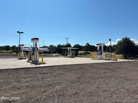 Tiny photo for 60 County Road 8140, Vernon, AZ 85940 (MLS # 256906)