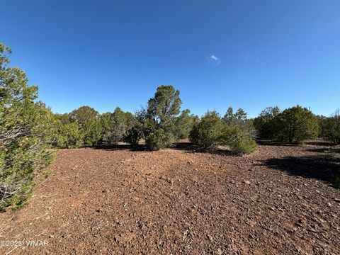 Tiny photo for 60 County Road 8140, Vernon, AZ 85940 (MLS # 256906)