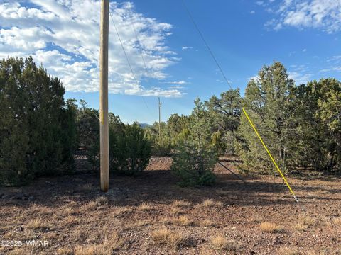 Tiny photo for 60 County Road 8140, Vernon, AZ 85940 (MLS # 256906)