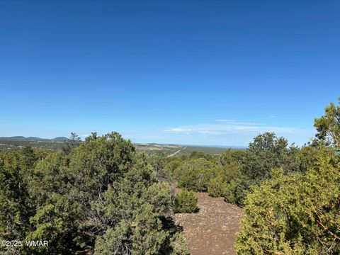 Tiny photo for 60 County Road 8140, Vernon, AZ 85940 (MLS # 256906)