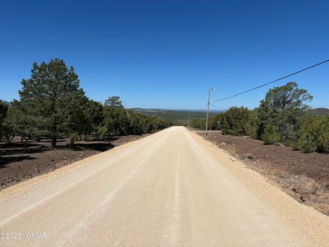 Tiny photo for 60 County Road 8140, Vernon, AZ 85940 (MLS # 256906)