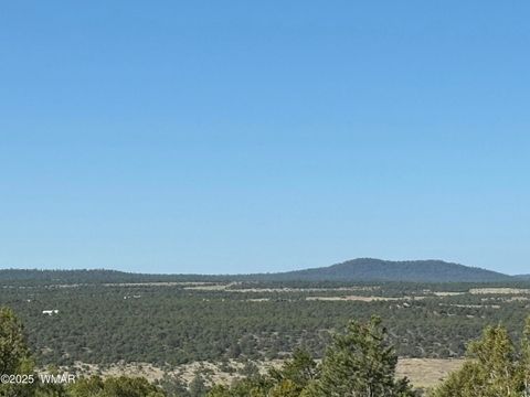 Tiny photo for 60 County Road 8140, Vernon, AZ 85940 (MLS # 256906)
