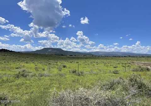 Tiny photo for TBD Parcel 1, Springerville, AZ 85938 (MLS # 251558)