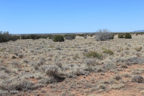 Tiny photo for 5999 Mesa View Lot 149 Drive, Heber, AZ 85928 (MLS # 255102)