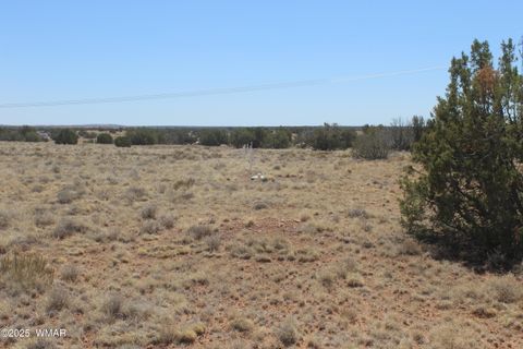Tiny photo for 5999 Mesa View Lot 149 Drive, Heber, AZ 85928 (MLS # 255102)