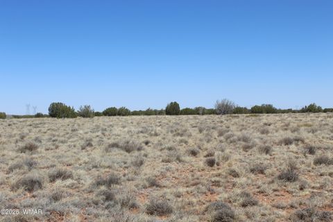 Tiny photo for 5999 Mesa View Lot 149 Drive, Heber, AZ 85928 (MLS # 255102)
