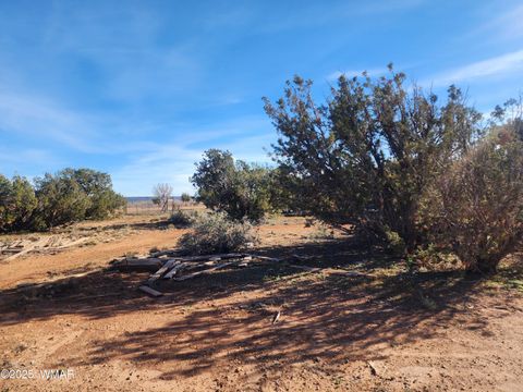 Tiny photo for 4726 Hay Hollow Road, Snowflake, AZ 85937 (MLS # 259031)