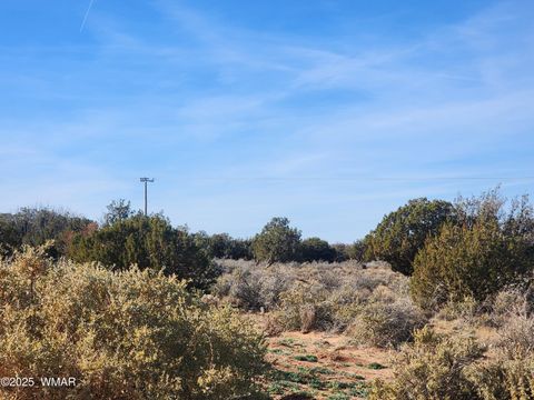 Tiny photo for 4726 Hay Hollow Road, Snowflake, AZ 85937 (MLS # 259031)