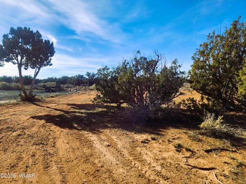 Photo of 4726 Hay Hollow Road, Snowflake, AZ 85937 (MLS # 259031)