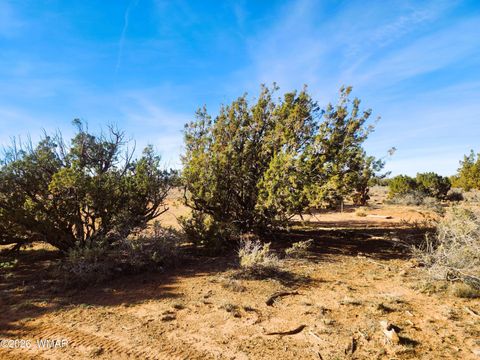 Tiny photo for 4726 Hay Hollow Road, Snowflake, AZ 85937 (MLS # 259031)