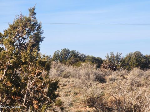 Tiny photo for 4726 Hay Hollow Road, Snowflake, AZ 85937 (MLS # 259031)
