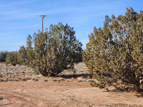 Tiny photo for 4726 Hay Hollow Road, Snowflake, AZ 85937 (MLS # 259031)