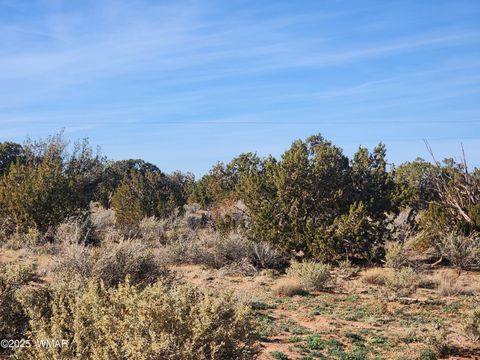Tiny photo for 4726 Hay Hollow Road, Snowflake, AZ 85937 (MLS # 259031)
