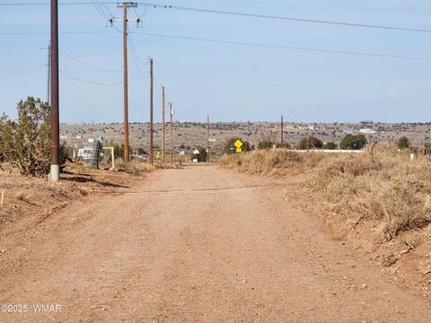 Tiny photo for 4726 Hay Hollow Road, Snowflake, AZ 85937 (MLS # 259031)