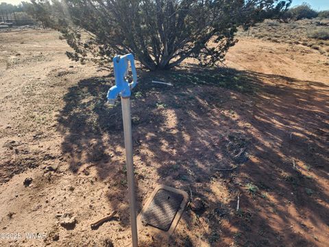 Tiny photo for 4726 Hay Hollow Road, Snowflake, AZ 85937 (MLS # 259031)