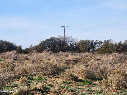 Tiny photo for 4726 Hay Hollow Road, Snowflake, AZ 85937 (MLS # 259031)