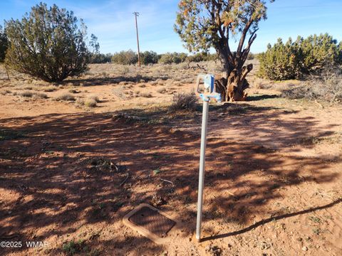 Tiny photo for 4726 Hay Hollow Road, Snowflake, AZ 85937 (MLS # 259031)