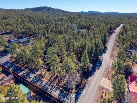 Tiny photo for 1649 N Blue Grass Ranch Drive, Lakeside, AZ 85929 (MLS # 259066)