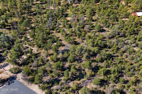 Tiny photo for 1948 Elk Road, Heber, AZ 85928 (MLS # 263400)