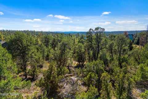 Tiny photo for 1948 Elk Road, Heber, AZ 85928 (MLS # 263400)