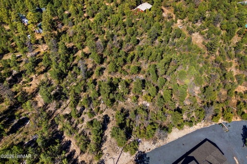 Tiny photo for 1948 Elk Road, Heber, AZ 85928 (MLS # 263400)