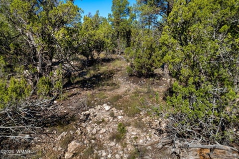 Tiny photo for 1948 Elk Road, Heber, AZ 85928 (MLS # 263400)