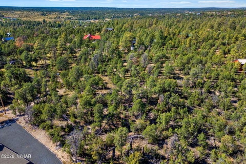 Tiny photo for 1948 Elk Road, Heber, AZ 85928 (MLS # 263400)